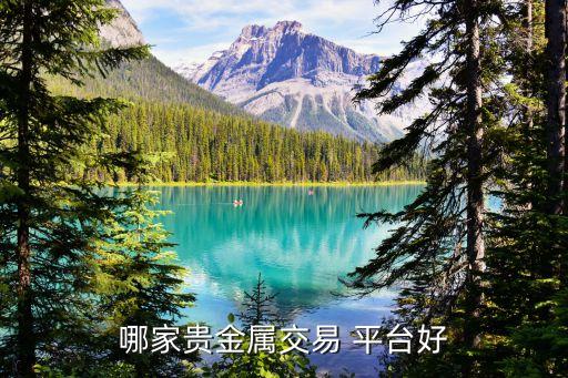 國內正規(guī)黃金白銀投資平臺