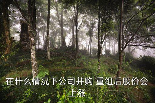 重組后大漲的股票案例,股票停牌重組后復牌會大漲嗎