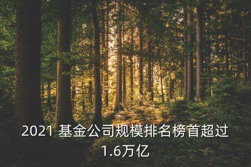 第八屆金?；鸺敖鹋；鸸精@獎(jiǎng)名單
