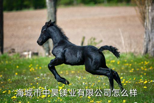 中鎂集團(tuán)董事長(zhǎng),國家能源集團(tuán)董事長(zhǎng)