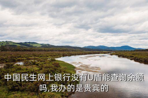 中國民生網上銀行沒有U盾能查詢余額嗎,我辦的是貴賓的