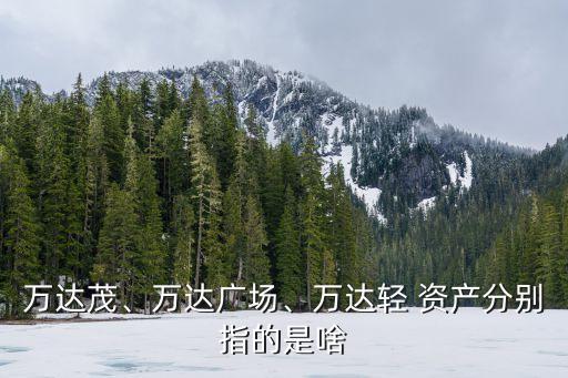 萬達茂、萬達廣場、萬達輕 資產分別指的是啥