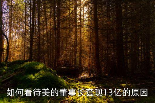 如何看待美的董事長套現13億的原因