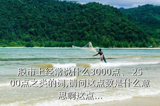 股市上經(jīng)常說什么3000點(diǎn)、 2500點(diǎn)之類的詞,請(qǐng)問這點(diǎn)數(shù)是什么意思啊這點(diǎn)...