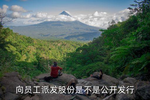 向員工派發(fā)股份是不是公開(kāi)發(fā)行