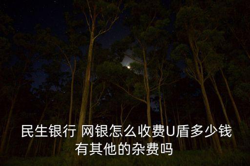  民生銀行 網銀怎么收費U盾多少錢有其他的雜費嗎