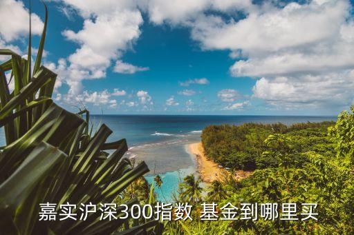  嘉實(shí)滬深300指數(shù) 基金到哪里買(mǎi)