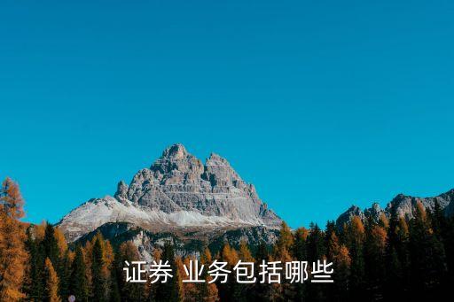  證券 業(yè)務包括哪些