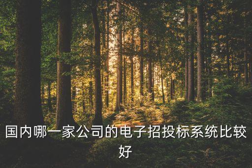 萬達(dá)集團網(wǎng)上招標(biāo)管理系統(tǒng)