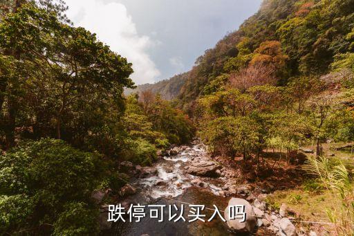 跌?？梢再I入嗎