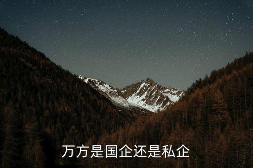 萬方是國(guó)企還是私企