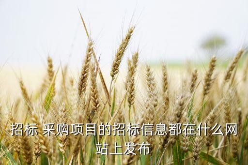 招標(biāo) 采購項(xiàng)目的招標(biāo)信息都在什么網(wǎng)站上發(fā)布