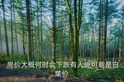  房?jī)r(jià)大概何時(shí)會(huì)下跌有人說(shuō)可能是白菜價(jià)