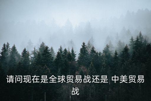 請問現(xiàn)在是全球貿易戰(zhàn)還是 中美貿易戰(zhàn)