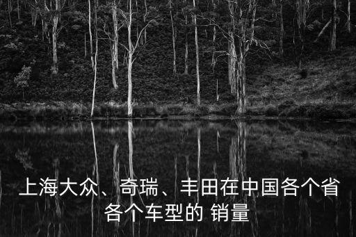  上海大眾、奇瑞、豐田在中國(guó)各個(gè)省各個(gè)車型的 銷量