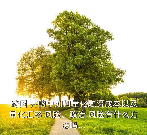  跨國(guó) 并購(gòu)中如何量化融資成本以及量化匯率 風(fēng)險(xiǎn)、政治 風(fēng)險(xiǎn)有什么方法嗎...