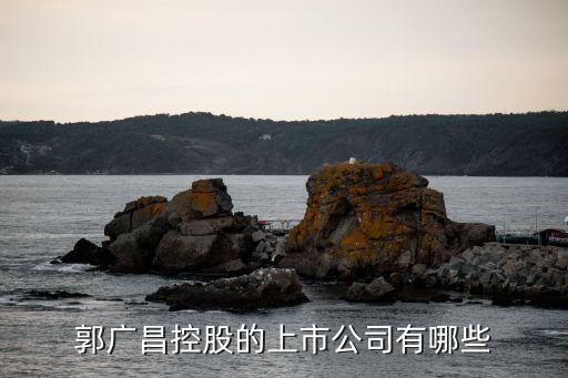 上海鋼聯和復星集團,復星集團質押上海鋼聯
