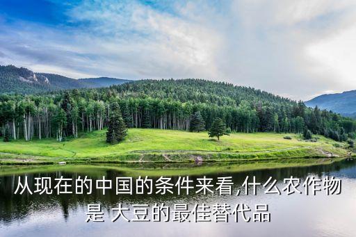 從現(xiàn)在的中國(guó)的條件來看,什么農(nóng)作物是 大豆的最佳替代品