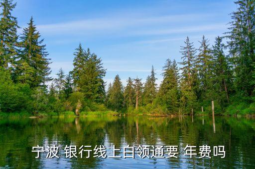  寧波 銀行線(xiàn)上白領(lǐng)通要 年費(fèi)嗎