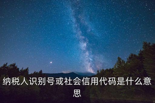 納稅人識(shí)別號或社會(huì)信用代碼是什么意思
