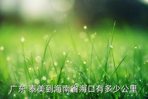 廣東 泰美到海南省?？谟卸嗌俟? class=