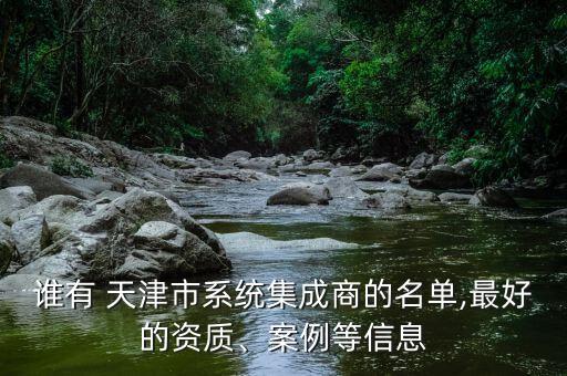 誰(shuí)有 天津市系統(tǒng)集成商的名單,最好的資質(zhì)、案例等信息