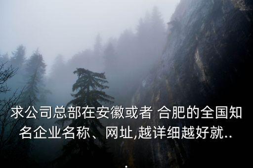 求公司總部在安徽或者 合肥的全國知名企業(yè)名稱、網(wǎng)址,越詳細(xì)越好就...
