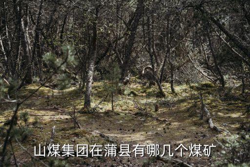 山煤集團(tuán)在蒲縣有哪幾個煤礦