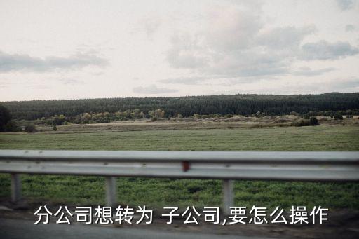  分公司想轉為 子公司,要怎么操作