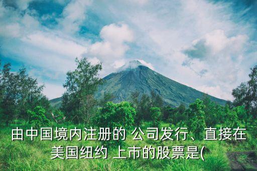 由中國境內(nèi)注冊的 公司發(fā)行、直接在美國紐約 上市的股票是(