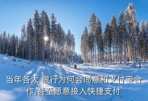 當年各大 銀行為何會同意和支付寶合作,甚至愿意接入快捷支付