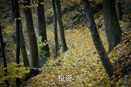 景領投資