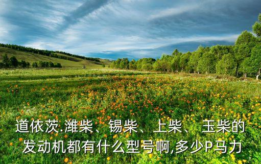 道依茨.濰柴、錫柴、上柴、 玉柴的 發(fā)動(dòng)機(jī)都有什么型號(hào)啊,多少P馬力