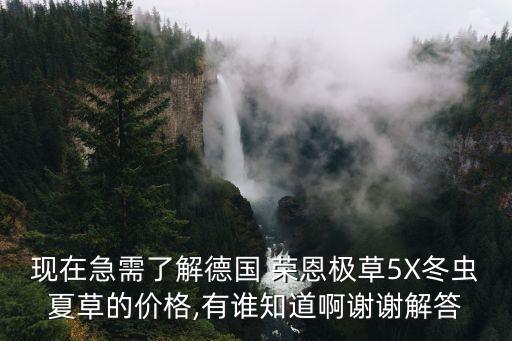 現(xiàn)在急需了解德國 榮恩極草5X冬蟲夏草的價(jià)格,有誰知道啊謝謝解答