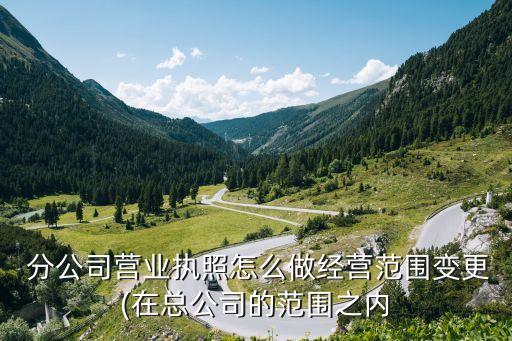  分公司營業(yè)執(zhí)照怎么做經(jīng)營范圍變更(在總公司的范圍之內