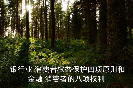  銀行業(yè) 消費(fèi)者權(quán)益保護(hù)四項原則和金融 消費(fèi)者的八項權(quán)利