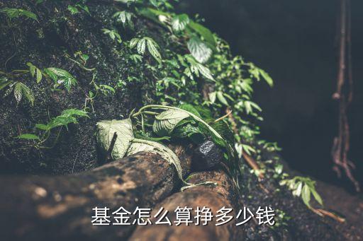  基金怎么算掙多少錢(qián)