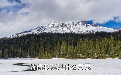轉債股票是什么意思