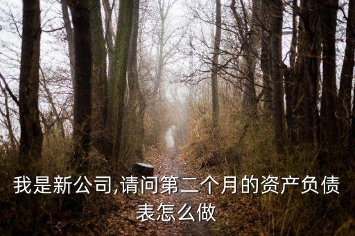 我是新公司,請問第二個月的資產負債表怎么做