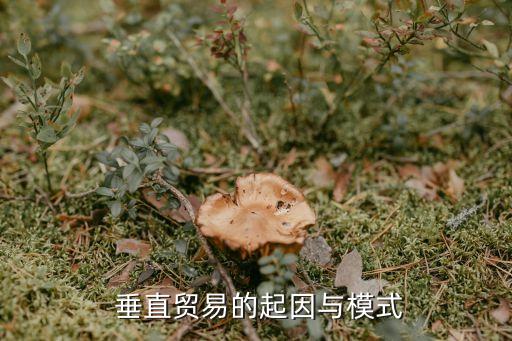  垂直貿易的起因與模式