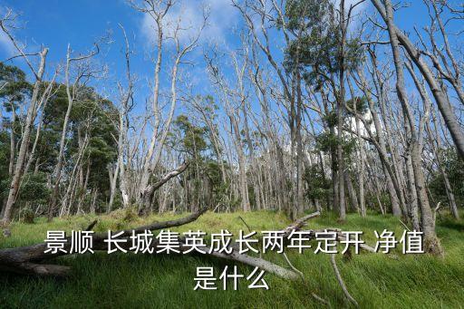  景順 長(zhǎng)城集英成長(zhǎng)兩年定開(kāi) 凈值是什么