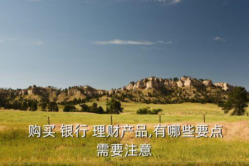  購(gòu)買(mǎi) 銀行 理財(cái)產(chǎn)品,有哪些要點(diǎn)需要注意