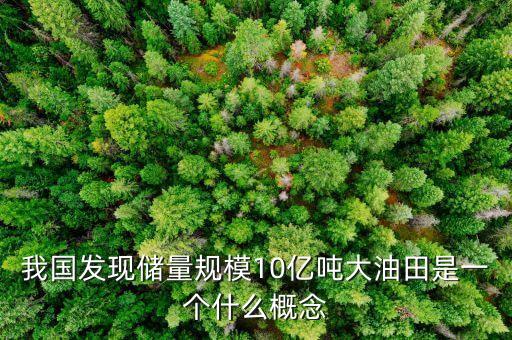 我國發(fā)現(xiàn)儲量規(guī)模10億噸大油田是一個(gè)什么概念