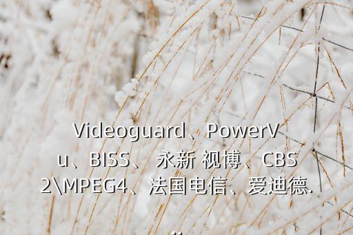 Videoguard、PowerVu、BISS、 永新 視博、CBS2\MPEG4、法國電信、愛迪德...