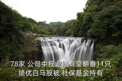 78家 公司中報業(yè)績有望翻番11只績優(yōu)白馬股被 社?；鸪钟? class=