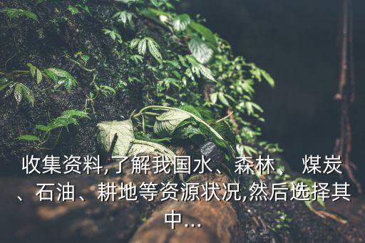 收集資料,了解我國水、森林、 煤炭、石油、耕地等資源狀況,然后選擇其中...