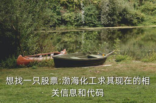 想找一只股票:渤?；で笃洮F(xiàn)在的相關(guān)信息和代碼