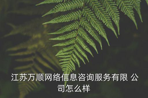  江蘇萬(wàn)順網(wǎng)絡(luò)信息咨詢服務(wù)有限 公司怎么樣