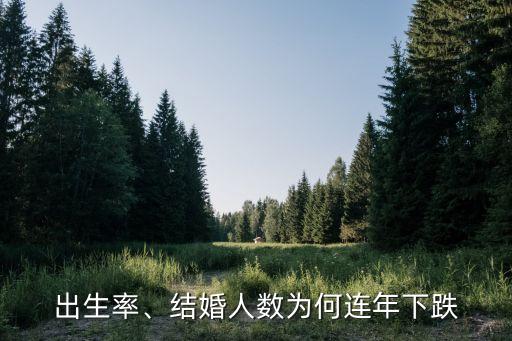 出生率、結婚人數(shù)為何連年下跌