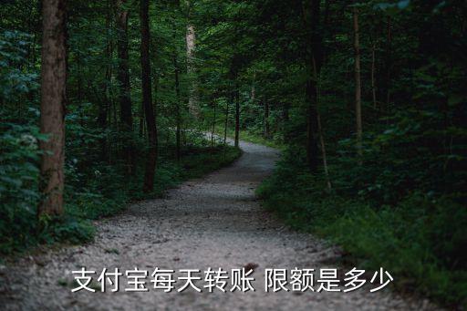 支付寶每天轉賬 限額是多少